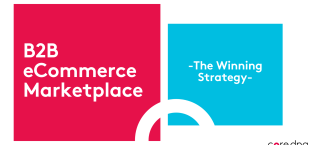 How to win in the B2B eCommerce Marketplace?